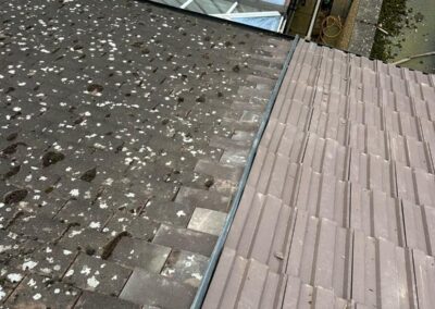 above and beyond property care 53